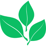 First Radicle Logo